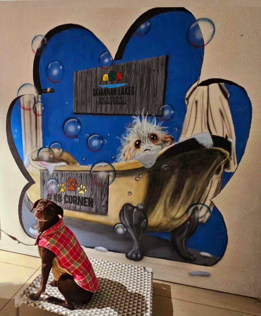 A dog wearing a red plaid shirt sits on a platform, looking at a mural. The mural depicts a dog in a bathtub surrounded by bubbles, with a sign that reads "Savannah Lakes Pet Resort" above it.