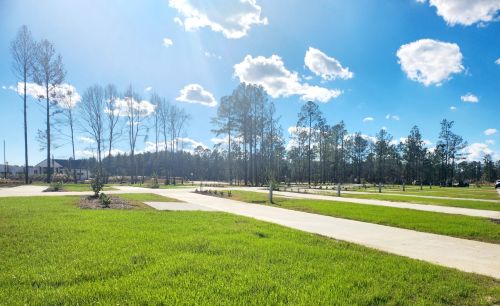 A suburban neighborhood with green lawns, concrete walkways, young trees, and a clear blue sky with scattered clouds.