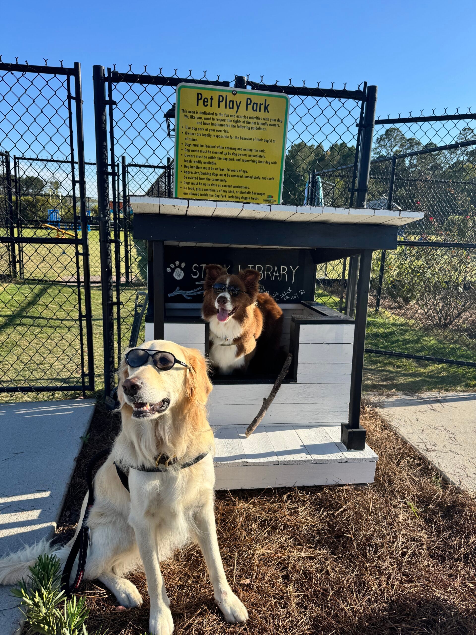 Two dogs at a dog park: one wearing sunglasses sits in front of a small white and black doghouse, while the other sits inside. A fence and a "Pet Play Park" sign are visible in the background.