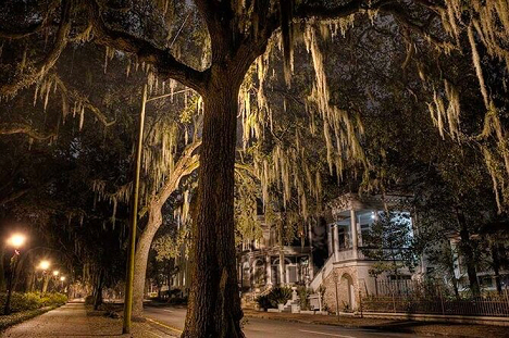 A large tree with hanging Spanish moss stands beside a quiet, dimly lit street lined with historic houses at night.