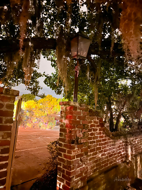 Brick wall with an open gate, hanging moss, and a lantern above. Trees and a brightly lit area are visible in the background at night.
