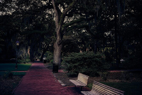A brick pathway lined with wooden benches and large trees in a dimly lit park, with a single streetlamp visible on the left.