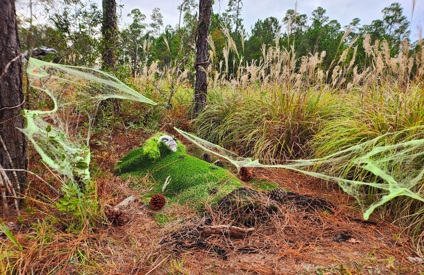 A Halloween decoration of a fake body covered in artificial grass and spider webs lies in a wooded area among pine trees and tall grass.