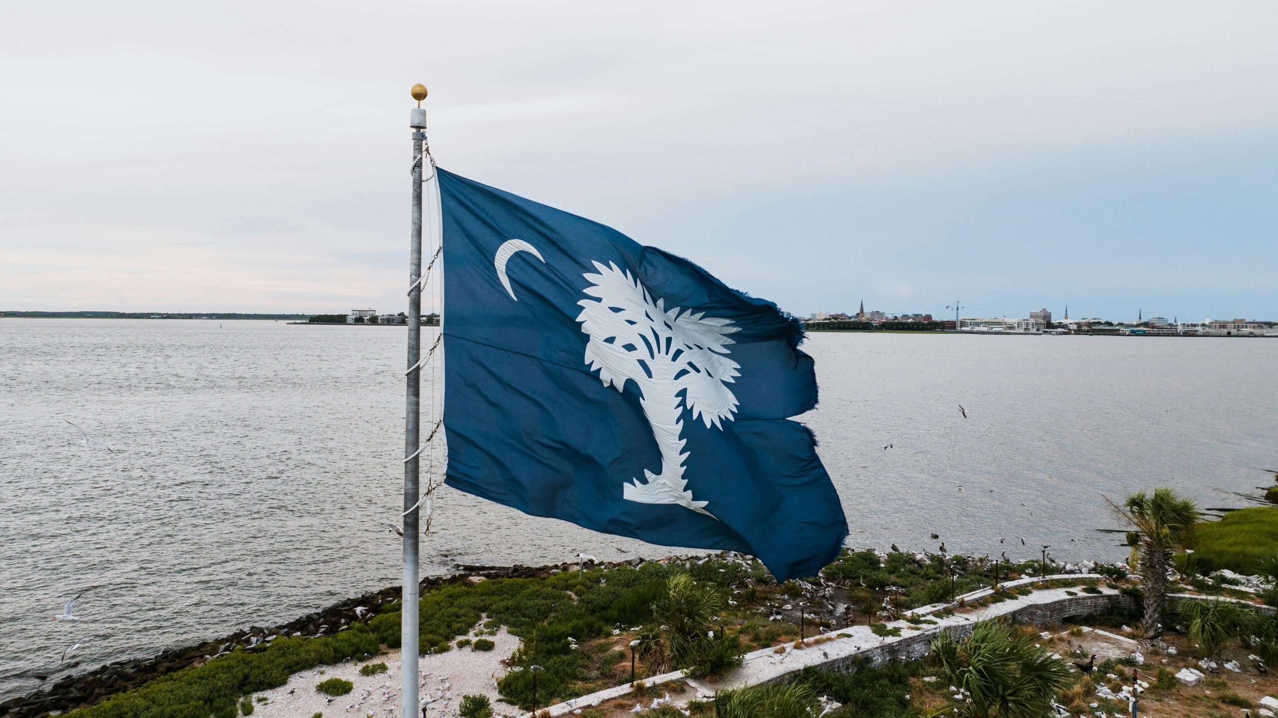 A blue South Carolina state flag with a white palmetto tree and crescent moon waves in the wind by waterfront vegetation.