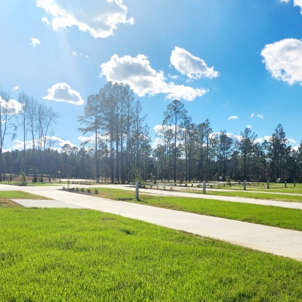 A grassy field with concrete paths and scattered young trees under a bright blue sky with clouds. Tall pine trees line the background.